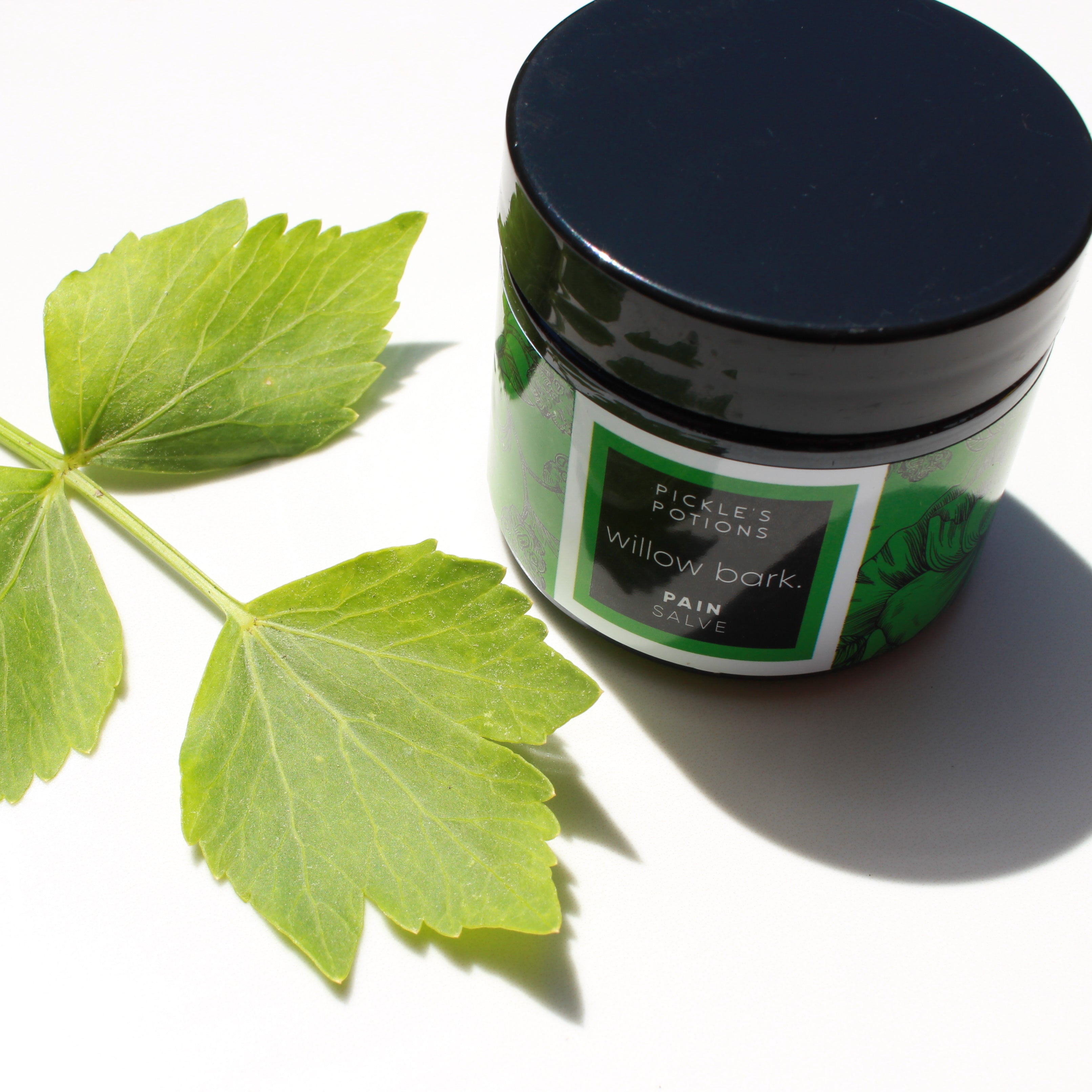 PAIN Pickle's Potions and Lotions