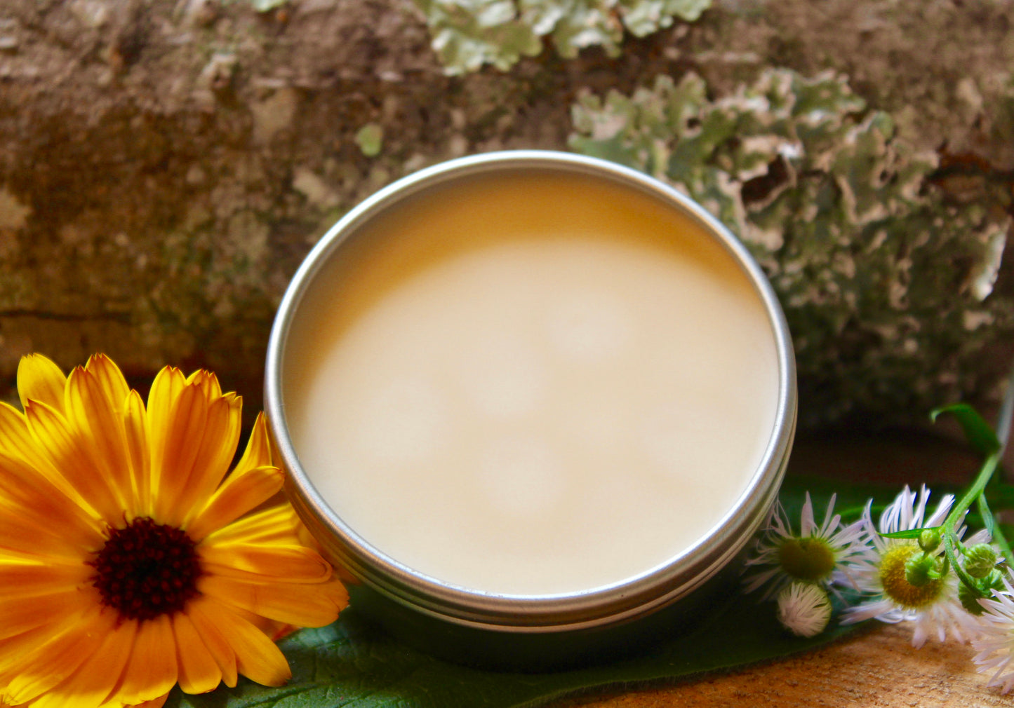 Paw Pal | Paw Salve