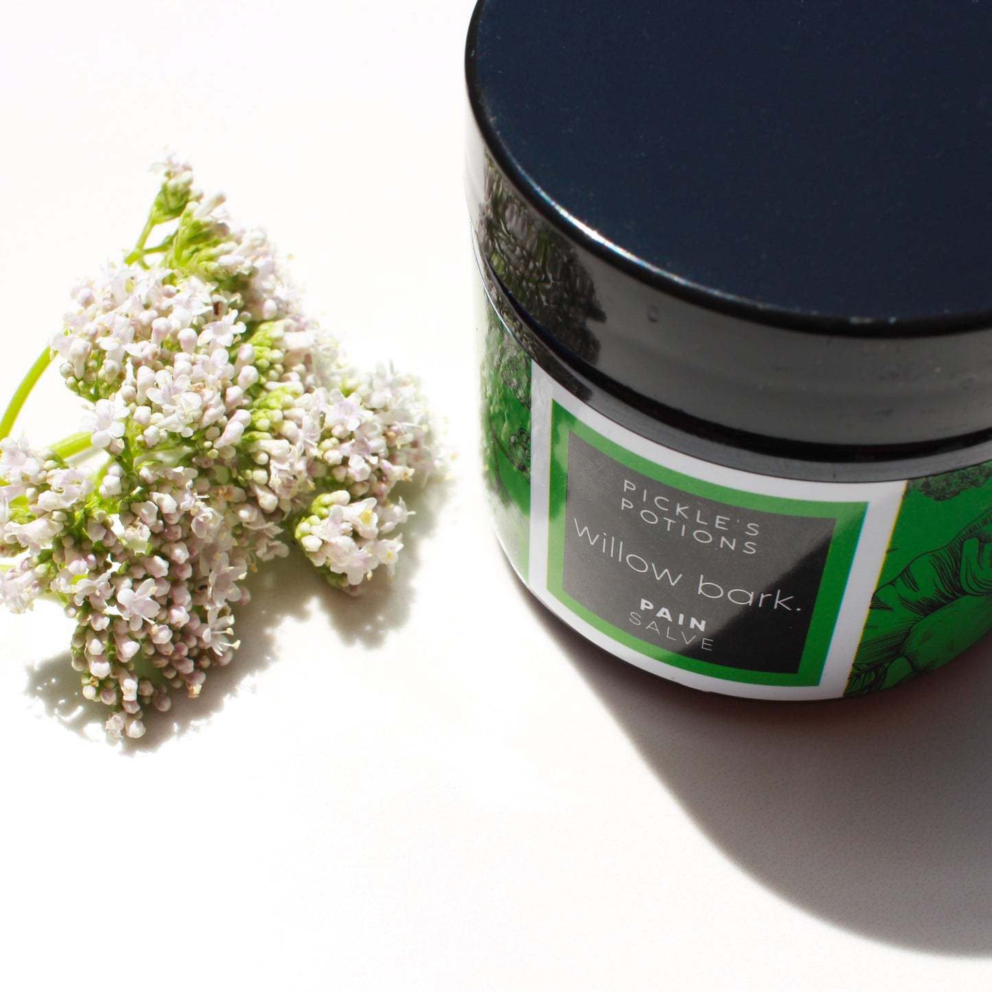 White Willow Bark Rub